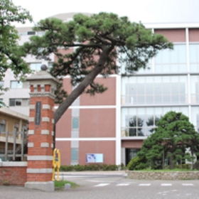 【2025年最新版】新潟大学医学部の偏差値＆難易度ランキング