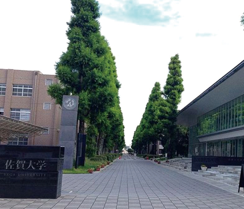 決定版】佐賀大学医学部過去問・入試問題 | 医学部受験の定石