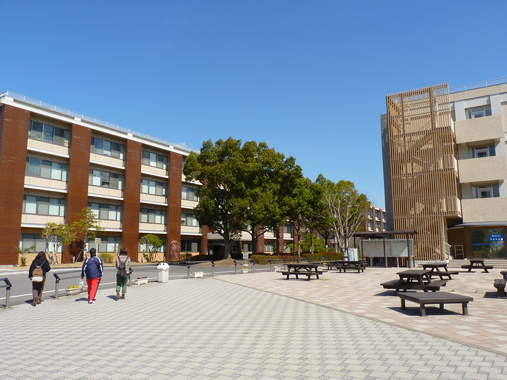 大分大学医学部医学科学士編入　過去問題+解答　計18点 浜松医科大学医学部・学士編入試験 過去問・解答解説5年分(2019〜