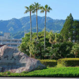 2026年度最新版】山口大学医学部過去問・入試問題 | 医学部受験の定石