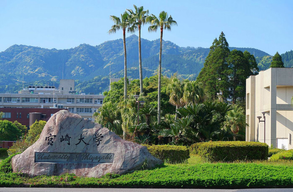 決定版】宮崎大学医学部過去問・入試問題 | 医学部受験の定石