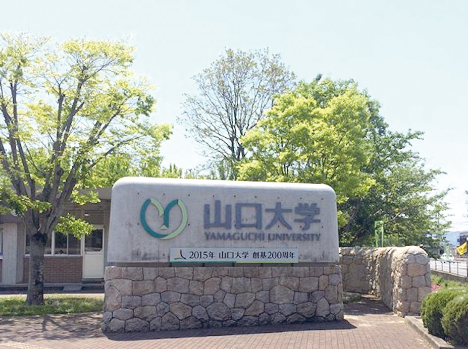 山口大学医学部医学科　学士編入試験　学科試験・小論文+復元問題(過去問) 山口大学医学部医学科】小論文・過去問題特集 | 推薦入試の
