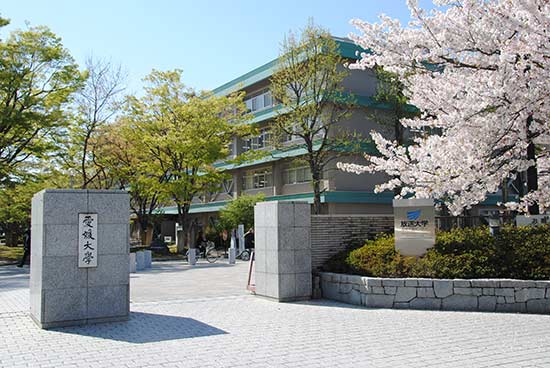 決定版】愛媛大学医学部過去問・入試問題 | 医学部受験の定石