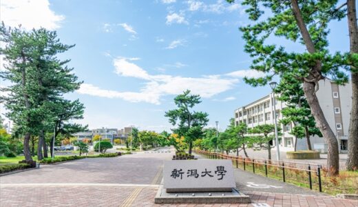 2026年度最新版】新潟大学医学部医学科の入試情報（定員、志願者数