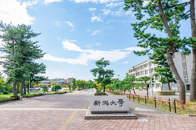 決定版】新潟大学医学部過去問・入試問題 | 医学部受験の定石