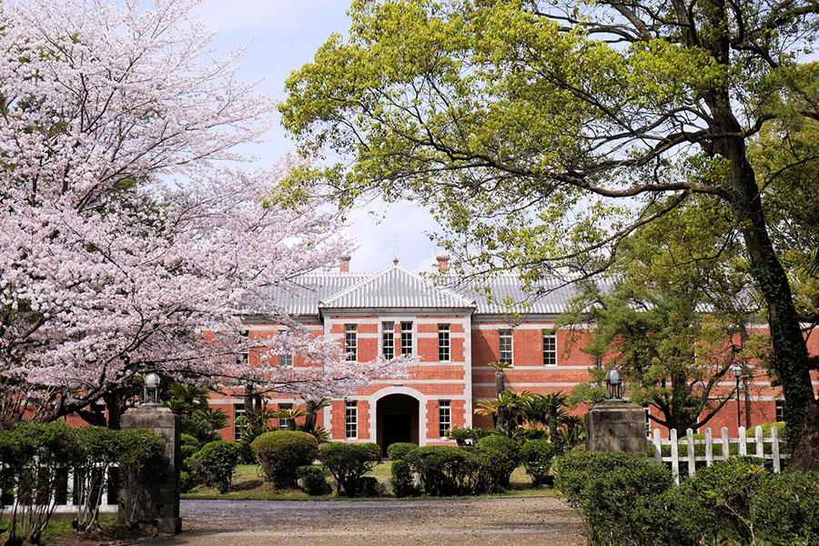 決定版】熊本大学医学部過去問・入試問題 | 医学部受験の定石