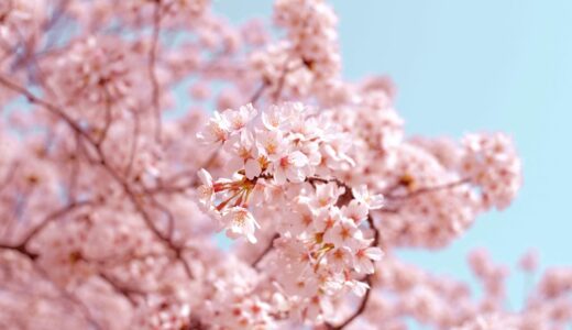 【合格体験記】東京大学 文科三類（現役・女性）